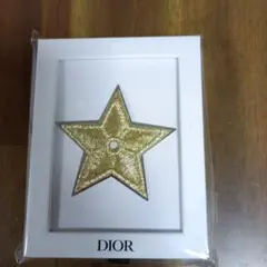 ディオールノベルティゴールドピンバッチ