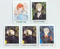 ツキウタ ぱしゃこれ PREMIUM まとめ売り 裏アオハル