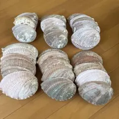 鮑　あわび　貝殻　30枚セット　ハンドメイド