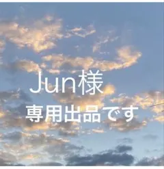 Jun様専用！ Discoat など2点