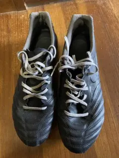 モナルシーダネオ2プロ