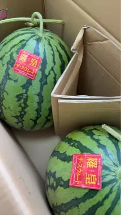 熊本県産【VSスイカ】 中玉6kgサイズ 簡易箱 通販最安値 - メルカリ