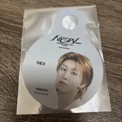 SEVENTEEN 鳥貴族 THE8 ストロータグ