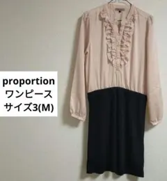 Item thumbnail for item b0511f5b-5ac5-4a51-91bd-b53243b99a43