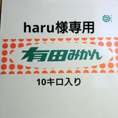 haru様専用 木塾由良早生 10キロ入り 30-2