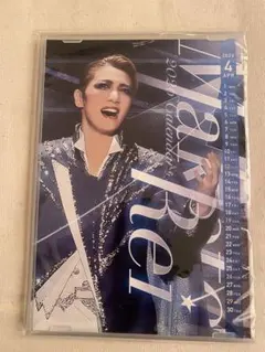 Item thumbnail for item 94824b4b-adb9-4e9f-81c6-a1025cc13539