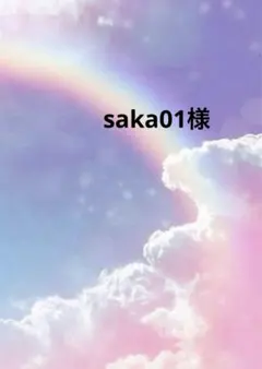 saka01様 リクエスト 2点 まとめ商品