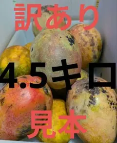 摘果マンゴー 加工用 9キロ - メルカリ