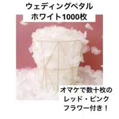 Item thumbnail for item d1fa3706-3eff-4c69-a831-0f6020608592