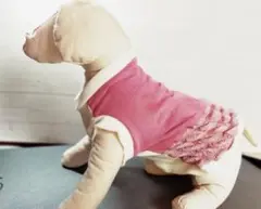 週末セール　犬服　ピンク　ポップコーン