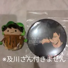 ハイキュー 東武動物公園コラボ 書き下ろしレジャーvar Big 缶バッジ 黒尾