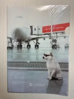 Item thumbnail for item 61a3e61b-50d0-4d45-ba16-10ddc1be8972