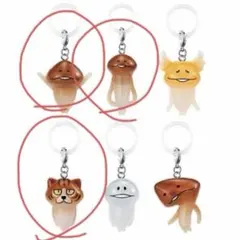 なめこ栽培キット めじるしアクセサリー 2 なめこ 長なめこ ねこなめこ