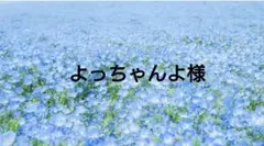 よっちゃんよ様専用