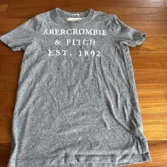 Abercrombie & Fitch グレー Tシャツ S