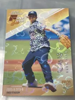 bbm fusion コリーウォン　300シリ