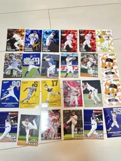 プロ野球チップスカード　2025