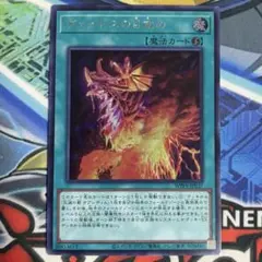 遊戯王 滅亡龍ヴェイドス シークレット シク - メルカリ