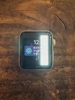 Apple Watch 本体