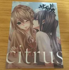 Citrus サブロウタ ブックカバー 特典限定品 - メルカリ