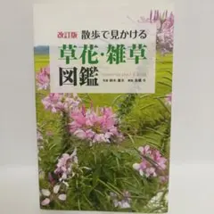 改訂版：散歩で見かける草花・雑草図鑑