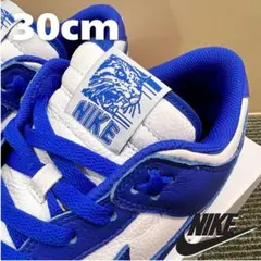 NIKE ゲームロイヤル カスタム ワイルドキャッツ cats タイガーダンク タイガーダンク ワイルドキャッツ NIKE DUNK CATS - メルカリ