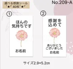 Item thumbnail for item 138aa855-a7ac-45f2-b113-76e9789ecfa5