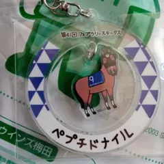 ダ21 。2024年g1レース優勝馬アクリルキーホルダー。ペフチドナイル。