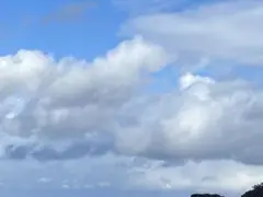 専用です
