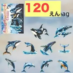 コラージュ素材　【F173】　20枚　PET素材　大人のシール帳　鯱　シャチ