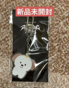 RIIZE RIIZINGDAY アクリルキーホルダー アントン モリニョンイ