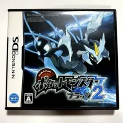 任天堂 NINTENDO DS ポケットモンスター ブラック2