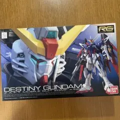 RG 1/144 DESTINY GUNDAM プラモデル