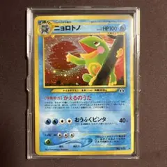 旧裏　ほぼ完美品　フォレスト　★neo 拡張パック　遺跡をこえて 渦巻きホロ ポケモンカードneo 遺跡をこえて… 未開封パック 旧裏 1枚の通販 土日祝