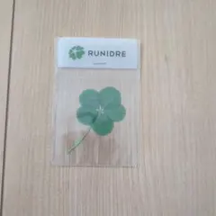RUNIDRE
