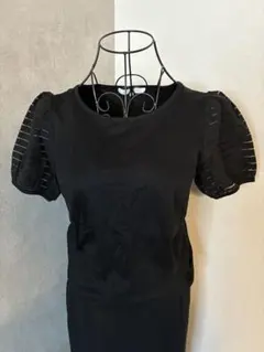 エムプルミエ シースルーボーダー パフスリーブ Tシャツ 黒 36のサムネイル