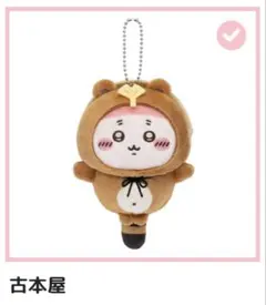 たぬきだもんくじＣ賞 古本屋