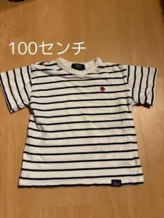 POLO ストライプ Tシャツ 100センチ