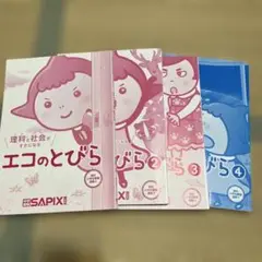 理科と社会がすきになる　エコのとびら　4冊セット