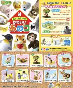 2025年最新】飼ってみたい かわいい あのの人気アイテム - メルカリ