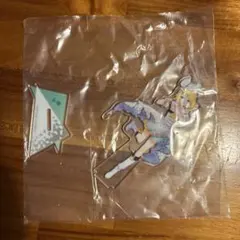 鶏天様 リクエスト 2点 まとめ商品