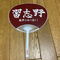 大阪桐蔭 高校野球 甲子園 応援うちわ 応援グッズ 桐蔭応援グッズ 記念