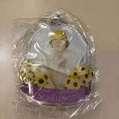 FANTASTICS 堀夏喜 クリアチャーム SPECIAL レア FANTASTICS SUNFLOWER クリアチャーム 堀夏喜 - メルカリ