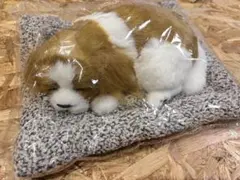 2026年最新】スヤスヤおねむりわんちゃんの人気アイテム - メルカリ