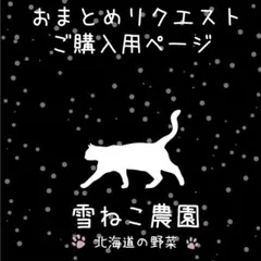 ひかなこ様 リクエスト 3点 まとめ商品
