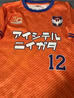アルビレックス新潟20周年アイシテルニイガタユニフォーム