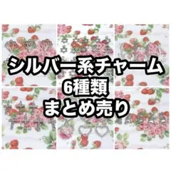 シルバー系チャーム 6種類セット