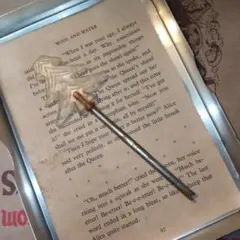 Item thumbnail for item 52268ebd-252a-4e31-b494-8303a5095754