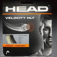 ✨10月28日AM6時迄✨ VELOCITY MLT 1.25mm 12m