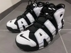 Item thumbnail for item dddf6a79-4f5a-4f93-9ff7-29f8d9d5f409